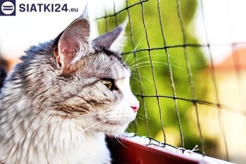 Siatki Łęczyca - Siatka na balkony dla kota i zabezpieczenie dzieci dla terenów Łęczycy