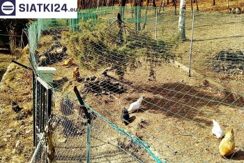 Siatki Łęczyca - Siatka na woliery - zabezpieczenia ptaków w hodowli dla terenów Łęczycy